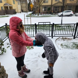 snow for a day 2024